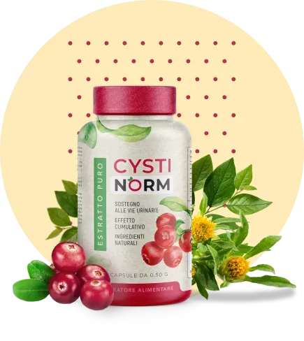 Wenn Sie Cystinorm in Österreich kaufen möchten, suchen Sie vermutlich nach verlässlichen Informationen zum aktuellen Preis, zu Erfahrungen anderer Anwender und zur offiziellen Bestellmöglichkeit.